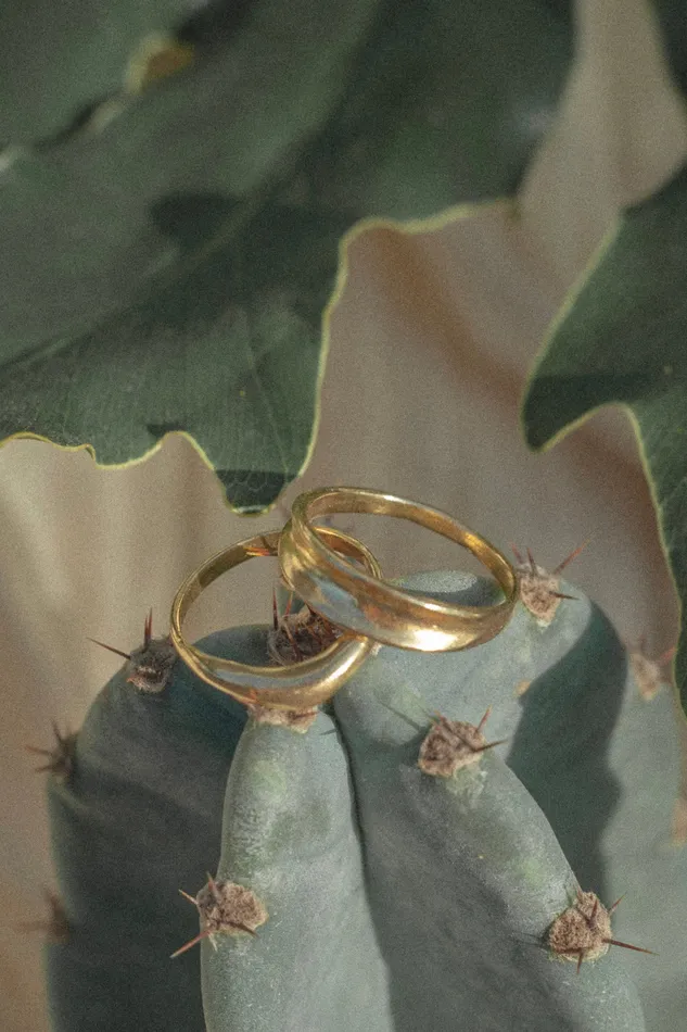 Mountainside Jewelry Vesta Ring Rings