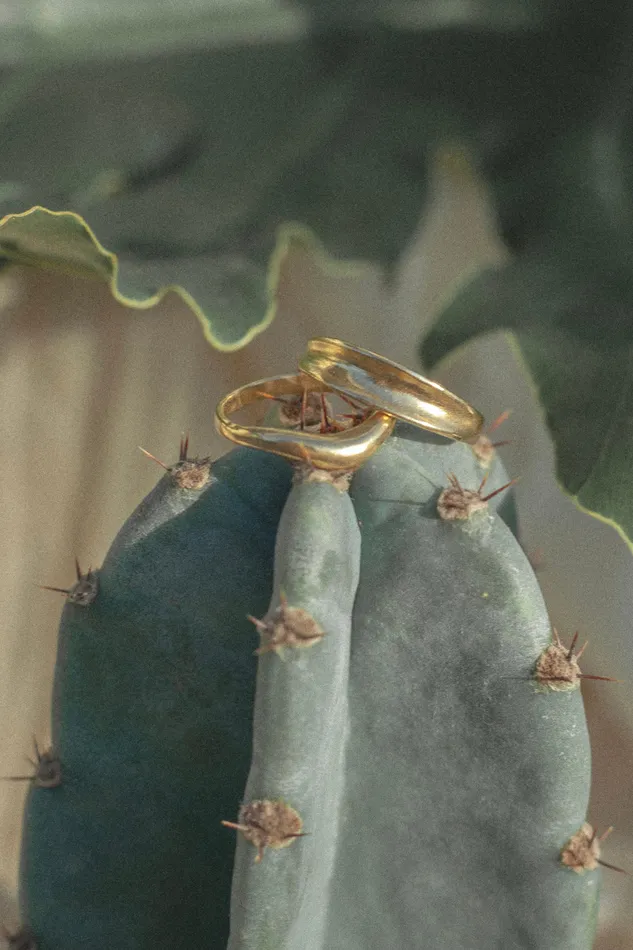 Mountainside Jewelry Vesta Ring Rings