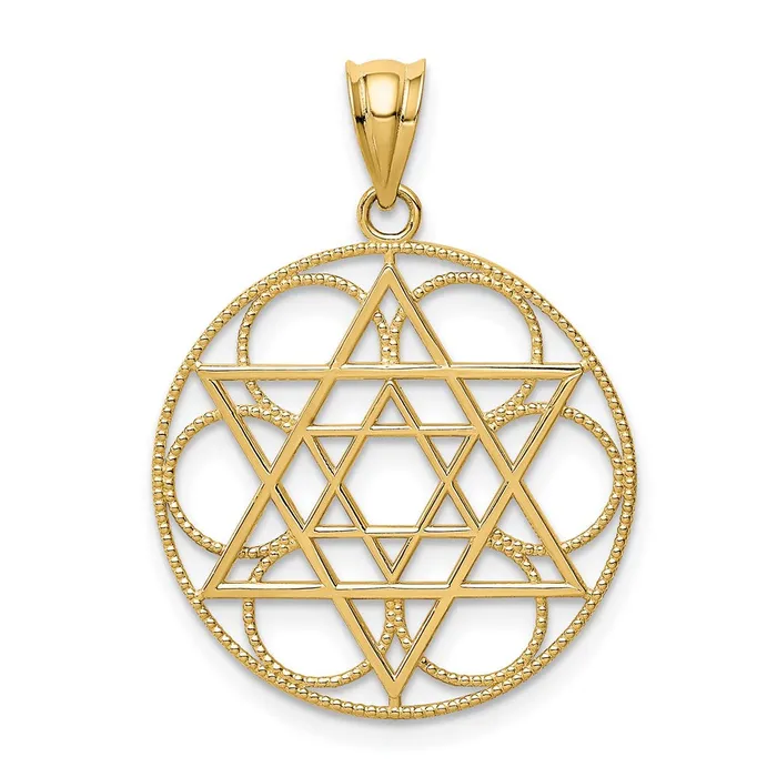 14k Yellow Gold Star of David Circle Pendant Goldia Necklaces