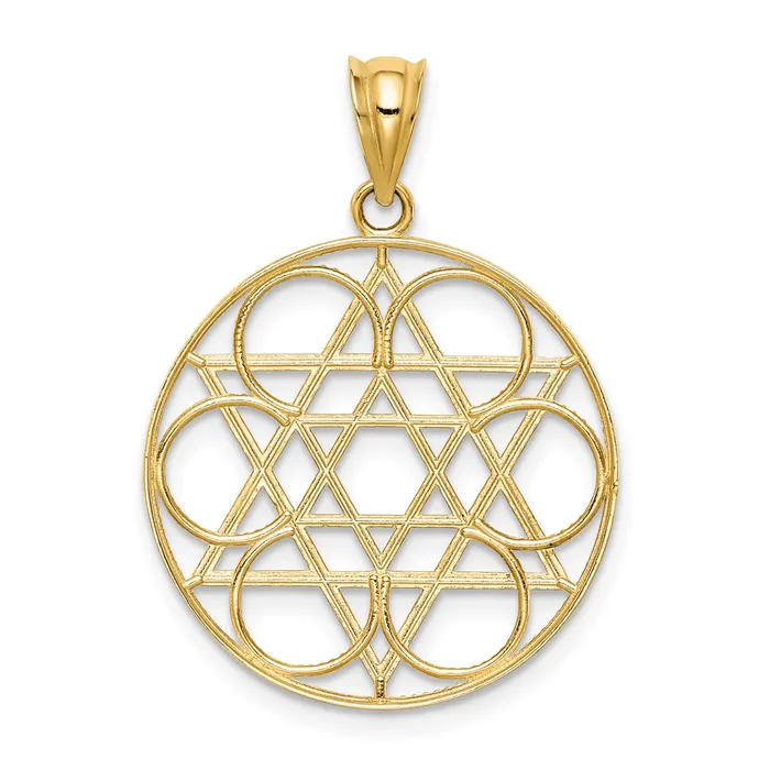 14k Yellow Gold Star of David Circle Pendant Goldia Necklaces