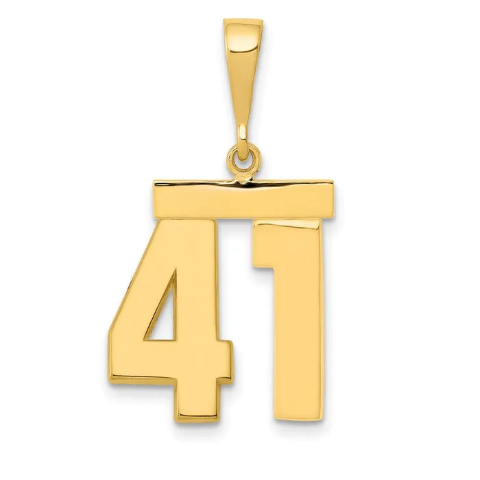Goldia 14k Yellow Gold Medium Polished Number 41 Charm Charm Necklaces