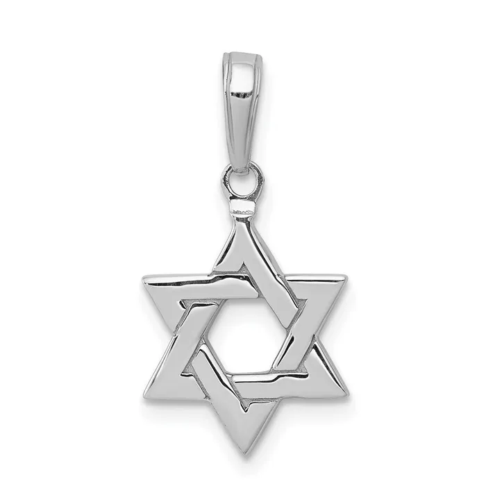 Goldia Necklaces 14k White Gold Polished Star of David Pendant