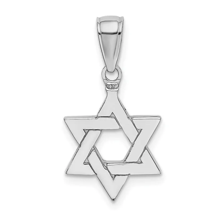 Goldia Necklaces 14k White Gold Polished Star of David Pendant