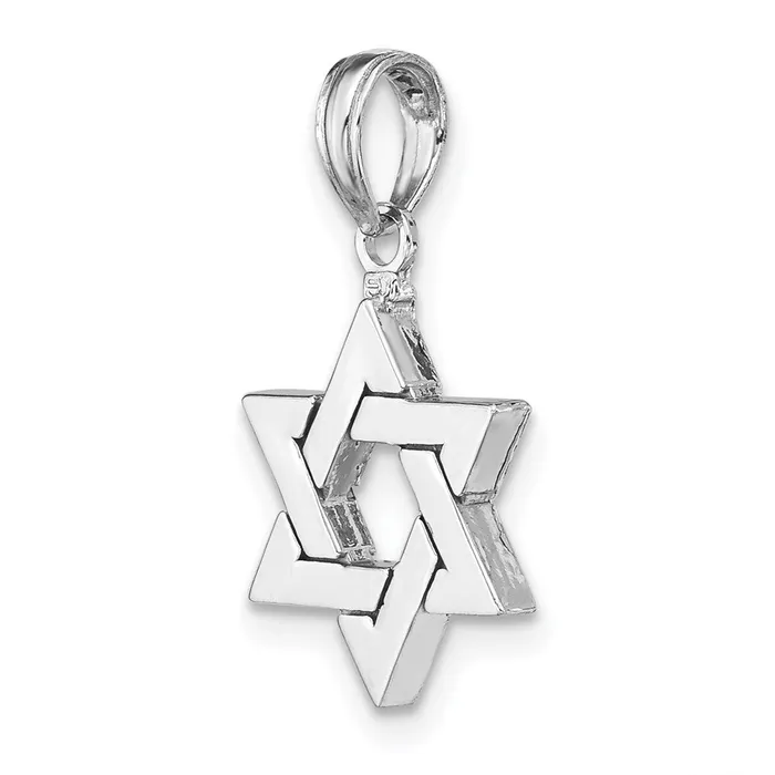 Goldia Necklaces 14k White Gold Polished Star of David Pendant