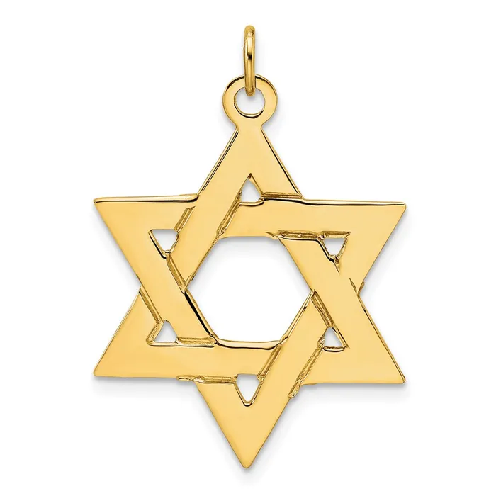 Necklaces Goldia 14k Yellow Gold Polished Solid Star of David Pendant