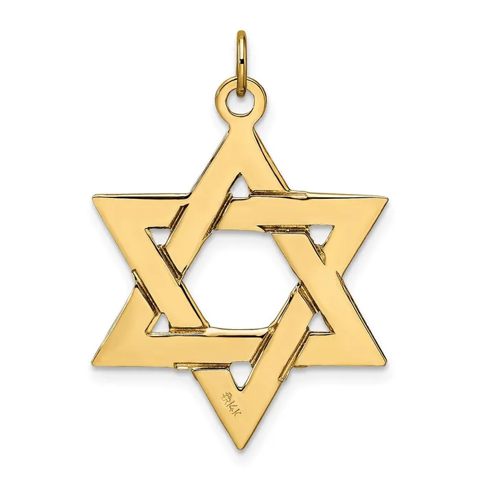 Necklaces Goldia 14k Yellow Gold Polished Solid Star of David Pendant